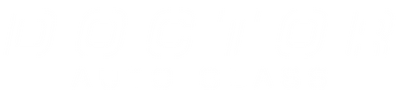 Doctor Auto Glass logo
