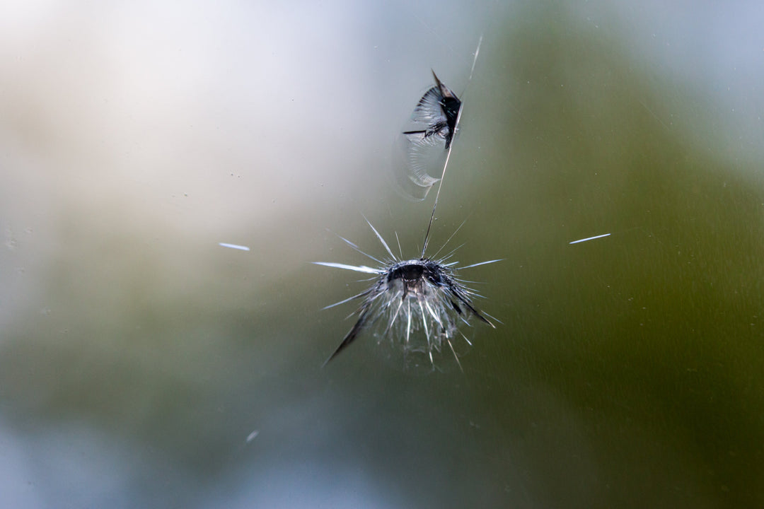 Auto Glass Repair Los Angeles in Hot Weather